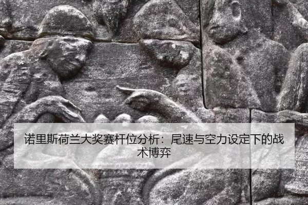nuo-li-si-he-lan-da-jiang-sai-gan-wei-fen-xi-wei-su-yu-kong-li-she-ding-xia-de-zhan-shu-bo-yi-3-113.jpg